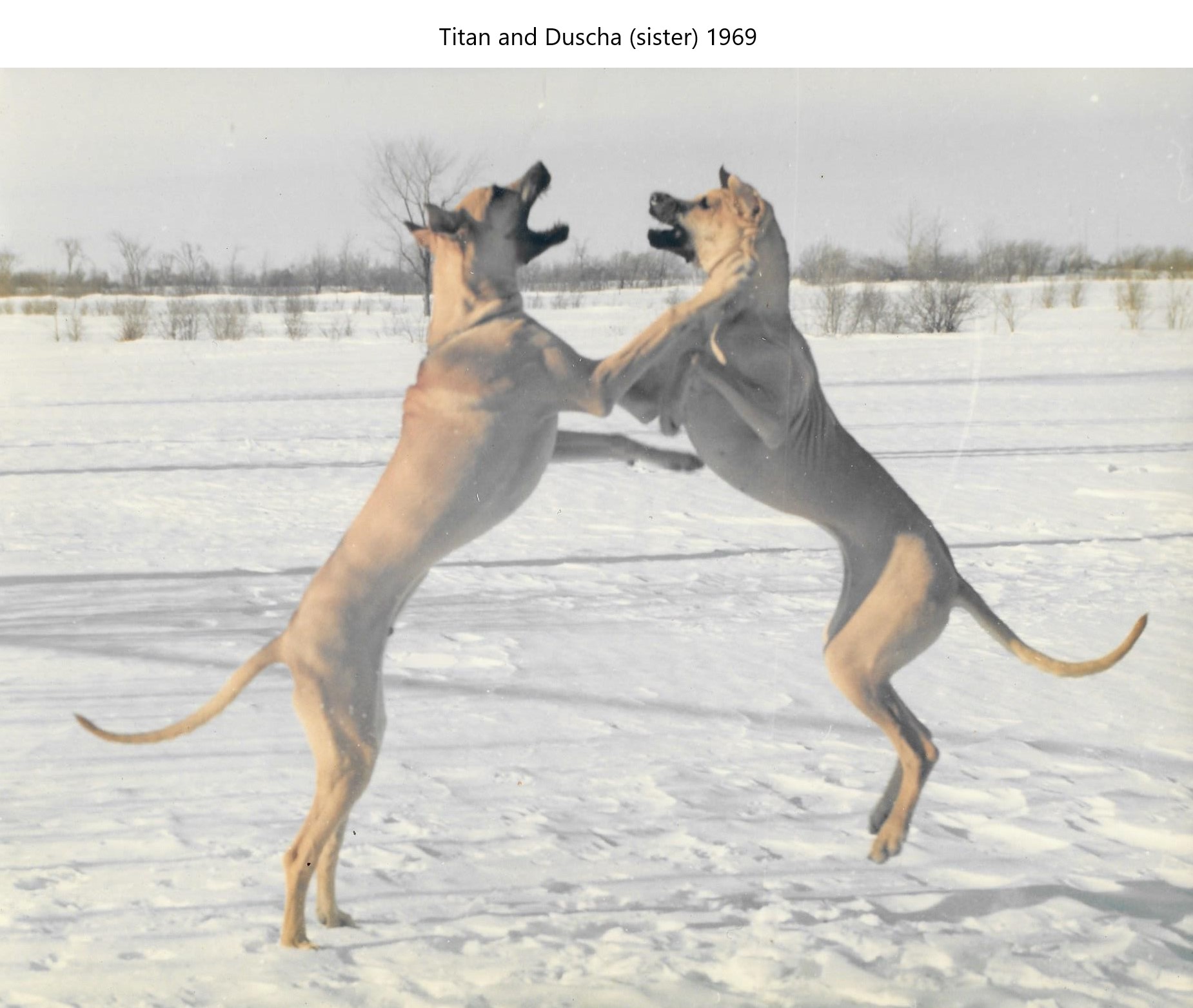 Titan and Duscha